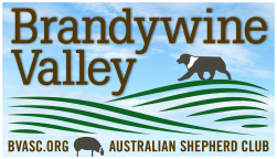 Brandywine Valley Australian Shepherd Club Logo